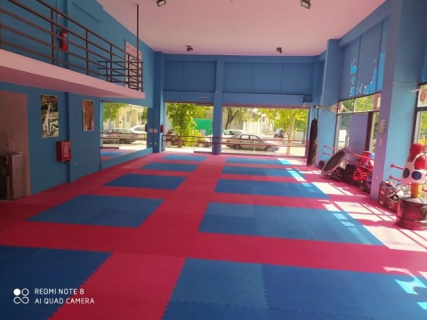 εντελεχεια ταεκβοντο