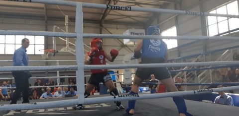 entelechia muay thai