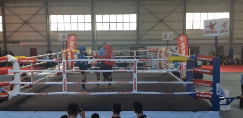 entelechia muay thai